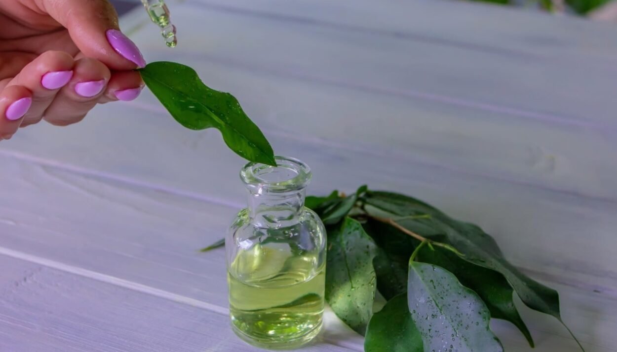 The Right Way to Dilute Tea Tree Oil for Daily Use