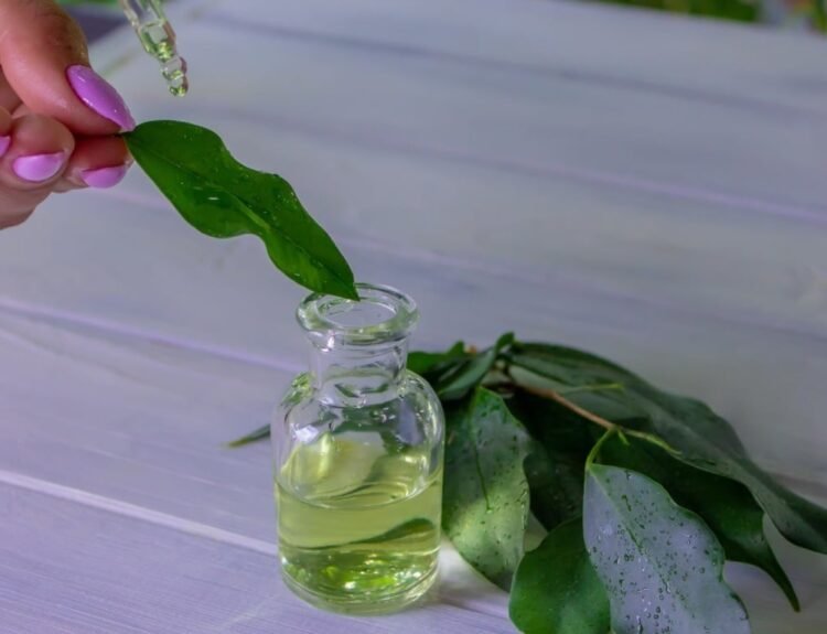 The Right Way to Dilute Tea Tree Oil for Daily Use
